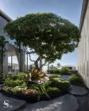 Villa landscape design in Dubai by Studia 54