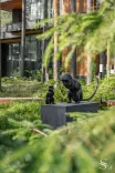 Проектирование премиальной резиденции в Репино под ключ от Studia 54